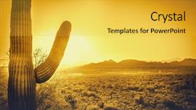  Presentation with arizona - Slides featuring southwest - epic desert sunset over valley background and a yellow colored foreground