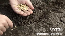  Presentation with seed - PPT theme featuring sowing oats background and a dark gray colored foreground