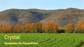  Presentation with potato crop - PPT layouts consisting of sowing reaping - beautiful potato crop with landscape background and a tawny brown colored foreground