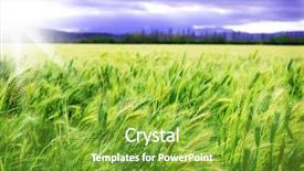  Presentation with sky sun - Amazing slides having sowing reaping - green wheat field with sun backdrop and a shamrock green colored foreground