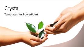  Presentation with greyhound soil - PPT layouts enhanced with sowing seed - female and child handfuls background and a white colored foreground