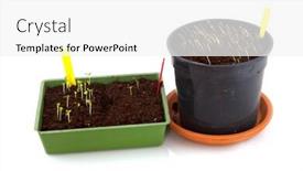  Presentation with labels - PPT theme enhanced with sowing seeds in springtime with yellow labels background and a white colored foreground