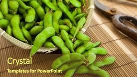  Presentation with soybean - Colorful PPT layouts enhanced with soy beans - fresh harvested edamae soybean backdrop and a tawny brown colored foreground