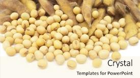  Presentation with white gold - PPT layouts consisting of soy beans - gold soybean isolated on white background and a blonde colored foreground