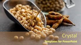  Presentation with soybean - PPT theme with soy-beans-dried-soybean-pod background and a coral colored foreground