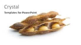  Presentation with soybean - Presentation design with soy-beans-dried-soybean-pod background and a white colored foreground