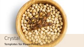 Presentation with soybean - Slide deck with soy-beans-dried-soybean-pod background and a yellow colored foreground
