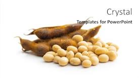  Presentation with soybean - Slides featuring soy-beans-dried-soybean-pod background and a white colored foreground