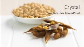  Presentation with soybean - Presentation theme featuring soy-beans-dried-soybean-pod background and a coral colored foreground