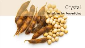  Presentation with soybean - PPT layouts featuring soy-beans-dried-soybean-pod background and a yellow colored foreground