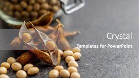  Presentation with soybean - PPT theme having soy-beans-dried-soybean-pod background and a gray colored foreground