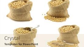  Presentation with soy - Presentation with soy-beans-in-a-burlap background and a lemonade colored foreground