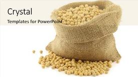  Presentation with soy milk - Beautiful presentation design featuring soy beans in a burlap backdrop and a yellow colored foreground