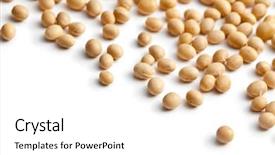  Presentation with soy - Presentation theme with soy beans on white background background and a white colored foreground