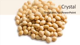  Presentation with soy - PPT theme enhanced with soy beans on white background background and a lemonade colored foreground