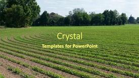  Presentation with farmland - Presentation having soy-grows-in-field background and a tawny brown colored foreground