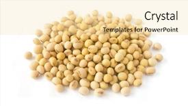  Presentation with soybean - PPT theme featuring soy milk - soybean isolated a white background and a blonde colored foreground