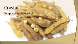  Presentation with soy milk - Amazing presentation theme having soy milk - soybean isolated on white backdrop and a yellow colored foreground