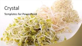  Presentation with different - Audience pleasing PPT layouts consisting of soyabean - different bean on white background backdrop and a  colored foreground