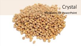  Presentation with beans - Presentation theme featuring soyabean - pile of roasted soya beans background and a  colored foreground