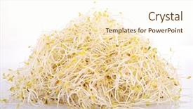  Presentation with sprout - Slides having soyabean - radish bean sprout background and a cream colored foreground