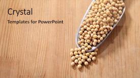  Presentation with soy - Audience pleasing slide set consisting of soyabean - scoop of the soy beans backdrop and a coral colored foreground