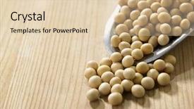  Presentation with soy - Cool new slide deck with soyabean - scoop of the soy beans backdrop and a  colored foreground