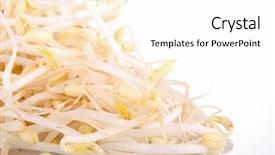  Presentation with sprout - Cool new slides with soyabean - soya bean sprout on white backdrop and a white colored foreground