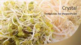  Presentation with sprout - Audience pleasing PPT layouts consisting of soyabean - soya bean sprout backdrop and a lemonade colored foreground