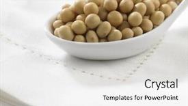  Presentation with soy - Presentation enhanced with soyabean - spoon full of the soy background and a white colored foreground