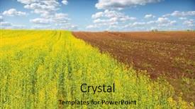  Presentation with soybean - Presentation with soybean field and sky background and a gold colored foreground