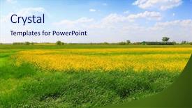  Presentation with soybean - Beautiful PPT theme featuring soybean field and sky backdrop and a sky blue colored foreground