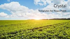  Presentation with scene - Slide set consisting of soybean fields - captivating scene of the countryside background and a light blue colored foreground