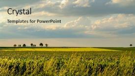  Presentation with dark green - Cool new slides with soybean fields - rows of young green plants backdrop and a soft green colored foreground