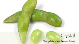  Presentation with soybean - Colorful slide set enhanced with soybean isolated on white background backdrop and a soft green colored foreground