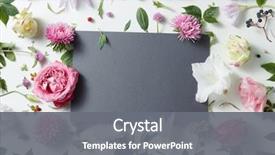  Presentation with pink flowers - Amazing slide deck having spa - beautiful pink and white flowers backdrop and a gray colored foreground