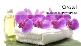  Presentation with pink green - Audience pleasing PPT layouts consisting of spa accessory with pink rose on green banana leaf backdrop and a white colored foreground