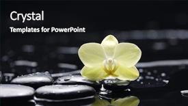  Presentation with aromatherapy - Amazing theme having spa and aromatherapy concept shot backdrop and a black colored foreground