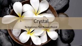  Presentation with natural spa resort - Slides enhanced with spa and wellness background and a coral colored foreground