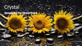  Presentation with zen - Presentation design featuring spa-and-zen-concept-three background and a black colored foreground