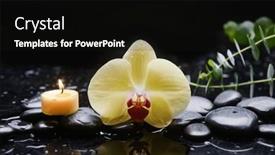  Presentation with spa stones leaves - PPT theme enhanced with spa-and-zen-concept-two background and a wine colored foreground