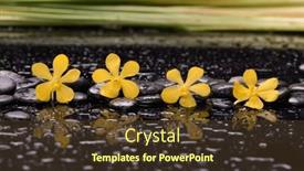  Presentation with spa stones leaves - Presentation theme with spa-and-zen-concept-yellow background and a tawny brown colored foreground
