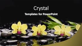  Presentation with spa stones leaves - Presentation theme consisting of spa-and-zen-concept-yellow background and a black colored foreground