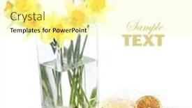  Presentation with spa - Amazing slides having spa-background-shallow-dof backdrop and a blonde colored foreground