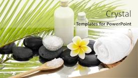  Presentation with palm - Audience pleasing presentation theme consisting of spa background with frangipani palm leaf backdrop and a soft green colored foreground