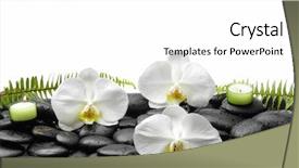  Presentation with fern - Presentation design consisting of fern leaf with three orchid candle on wet background background and a white colored foreground