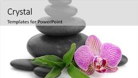  Presentation with pink white - Colorful presentation theme enhanced with stones on the white backdrop and a light gray colored foreground