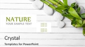  Presentation with bamboo yarn - Cool new presentation design with spa bamboo on wooden background backdrop and a white colored foreground