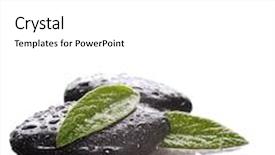  Presentation with spa stones leaves - Beautiful presentation featuring green leaves with water backdrop and a white colored foreground