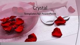  Presentation with water treatment - PPT theme consisting of spa bowl with water rose background and a coral colored foreground